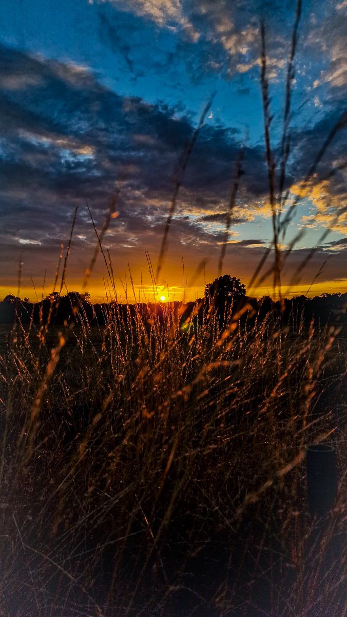 Golden-hour coastal photography by Tony Livins