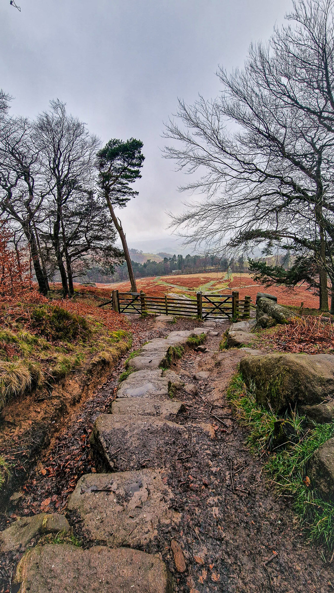 Landscape rock garden photography by Tony Livins