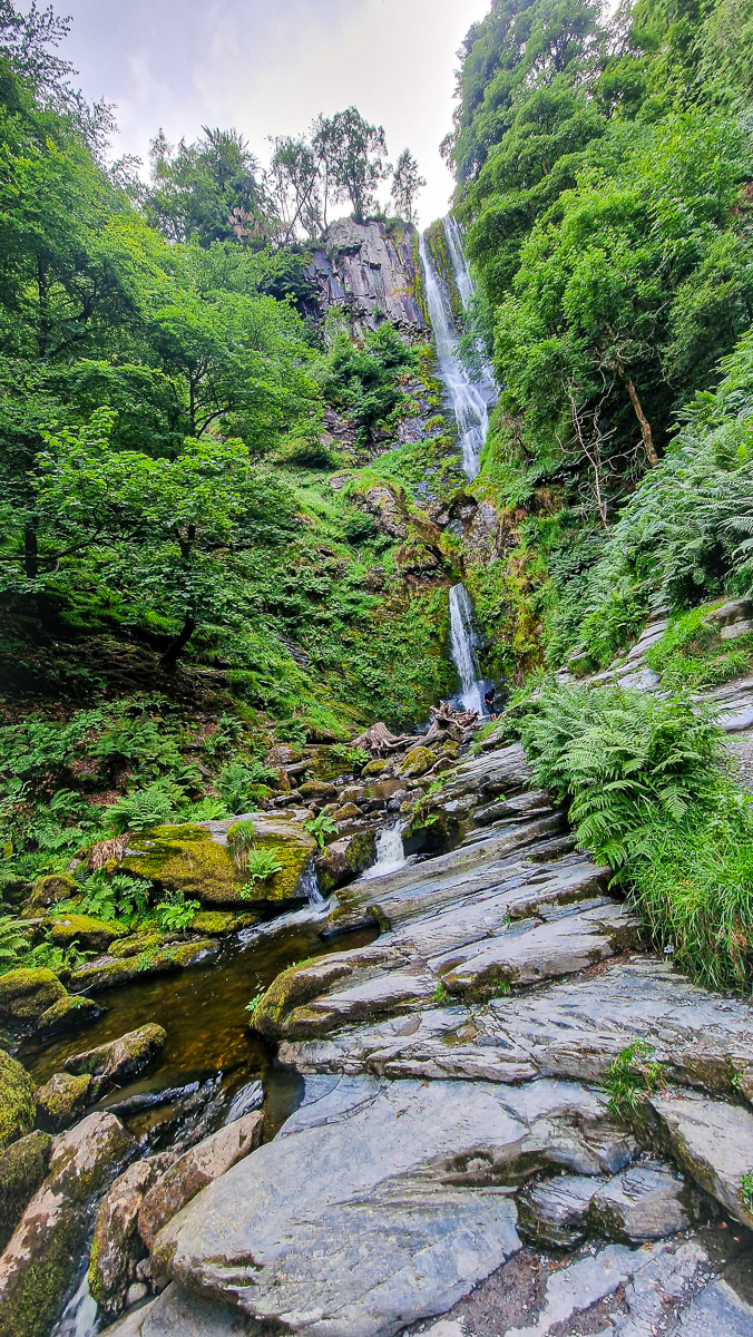 Woodland path photography by Tony Livins