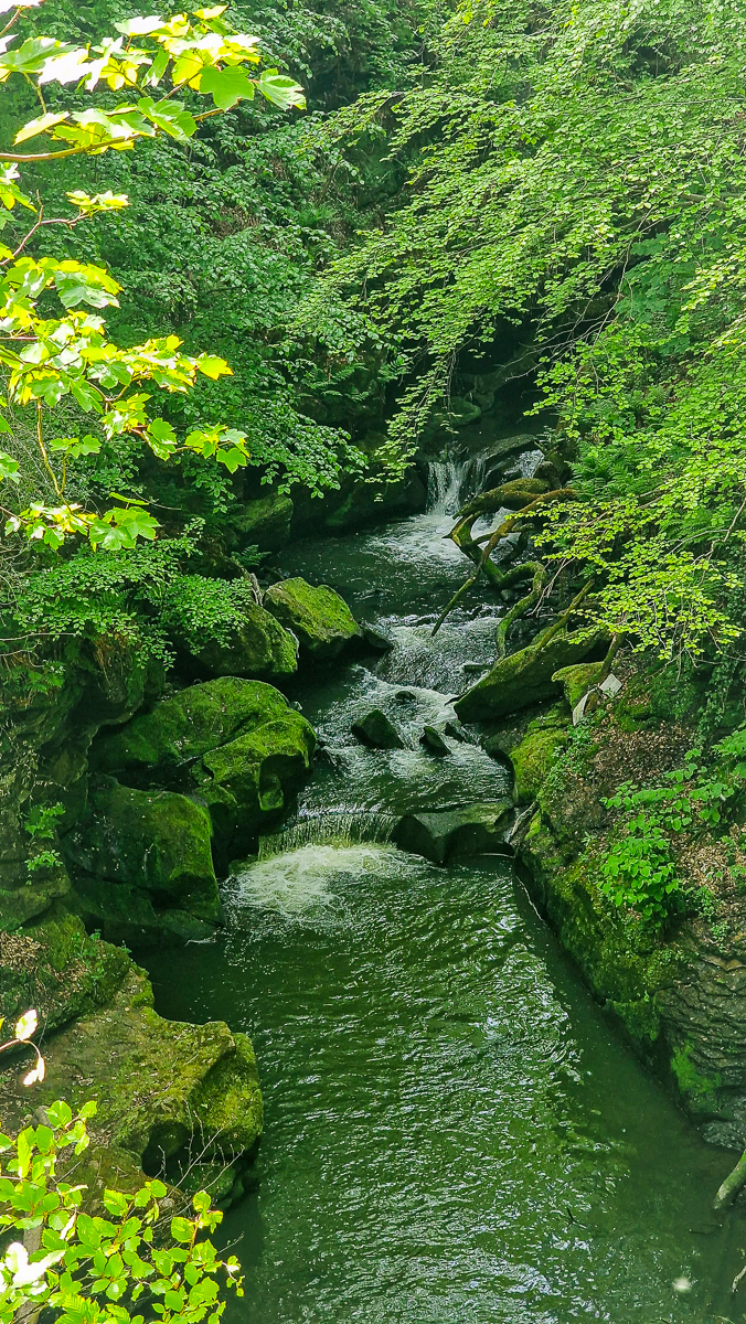 Woodland stream photography by Tony Livins